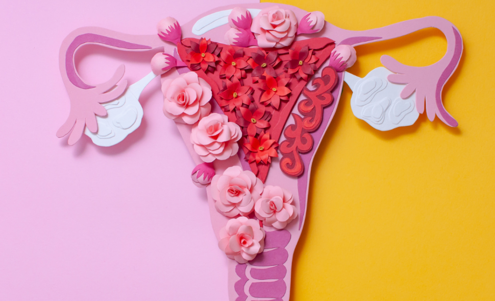 Endometriosis treatment Kolkata