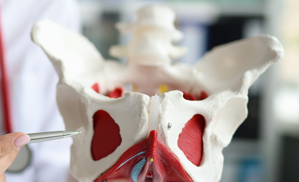 Pelvic Organ Prolapse Treatment