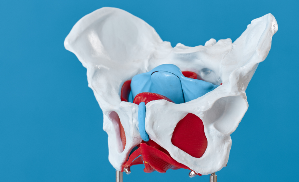 Reconstructive Pelvic Surgery Kolkata