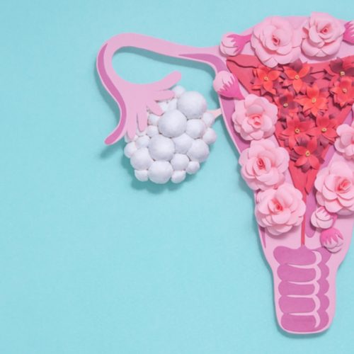 Gynae Care Kolkata - Website Banners